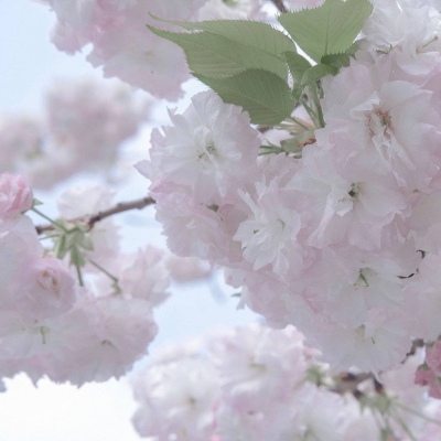 管城福瑞交流群